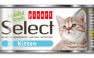 Select Cat Wet Food Kitten