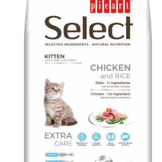 Kittenchicken And Rice