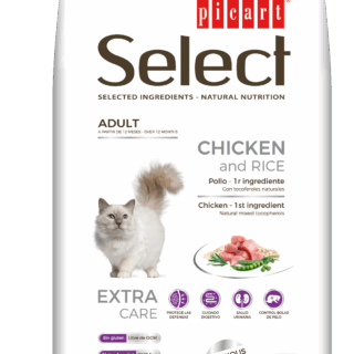 Adult Chicken And Rice