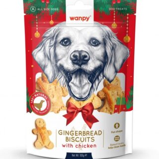 WANPY - CHRISTMAS GINGERBREAD MAN 100GR
