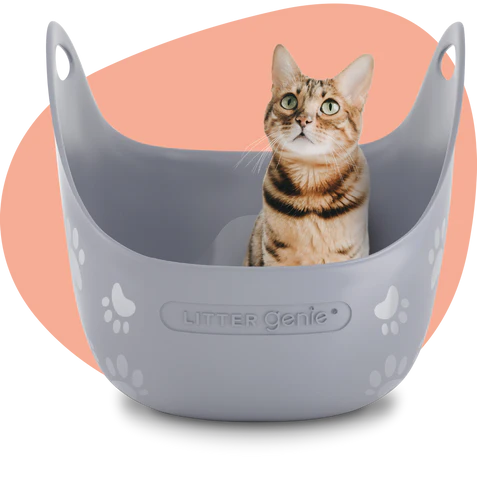 LitterGenie Litterbox Grey with Scoop Grey