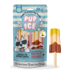 PUP ICE BANANA & CHOCO  90g / 2pcs