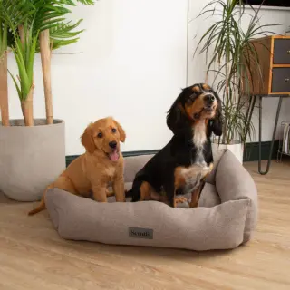 SCRUFFS - SEATTLE STONE GREY BOX XL