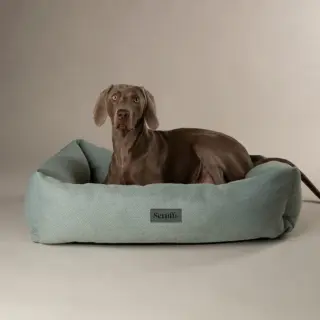 SCRUFFS - SEATTLE TOPAZ GREEN BOX BED XL