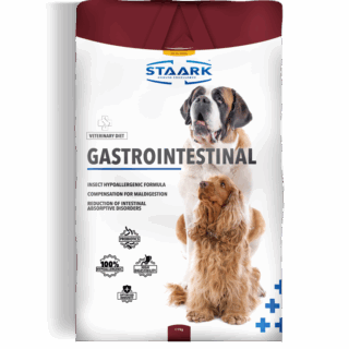 STAARK GASTROINTESTINAL DOG