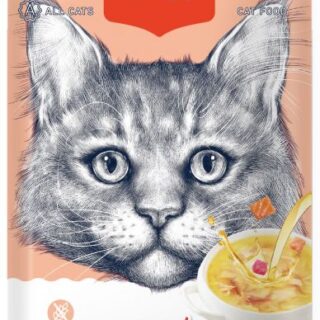 WANPY - MEAT BROTH SALMON & TUNA 50gr