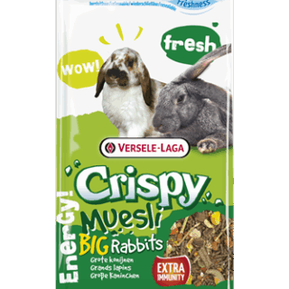 CRISPY MUESLY BIG RABBITS