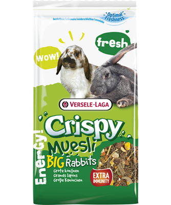 CRISPY MUESLY BIG RABBITS