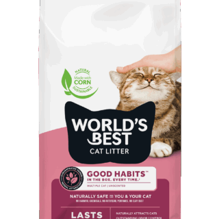 World’s Best Cat Litter Good Habits
