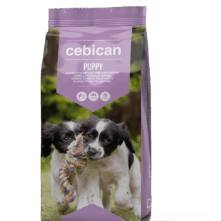 Cebican Puppy