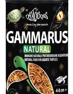 GAMMARUS 100ML