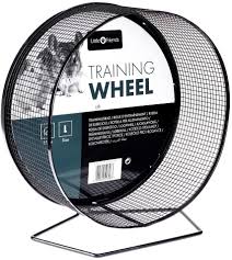 TRAINING WHEEL M