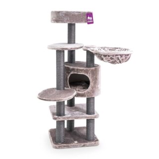 PetRebels Jane 138 Cappuccino