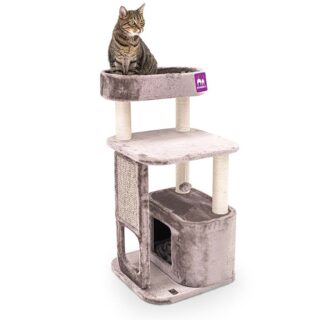 PetRebels Little Rock 99 Cappuccino