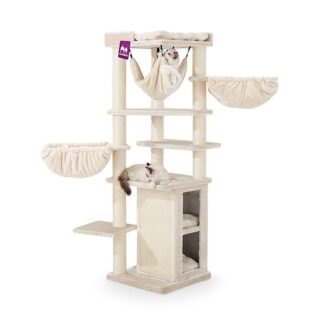 PetRebels Ramses 158 Cream