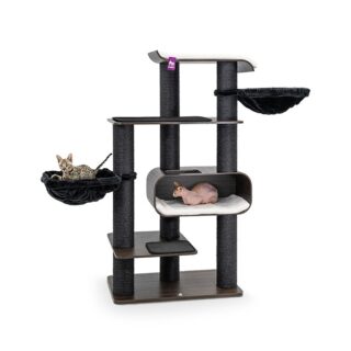 PetRebels Virgo 173 Wenge