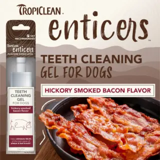 ENTICERS GEL hickory smoked bacon flavor