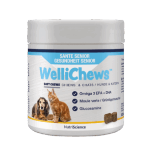 Wellichews Senior Health Chews Small Dog/Cat